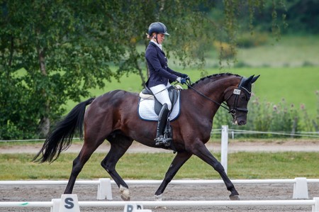 Reece Downham-Smith - Georgia MH & Ruby Tuesday T (pictured)  -  Dressage NZ Youth Squad